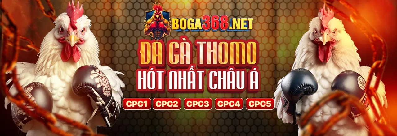 Dealer chuyên nghiệp tại sòng bạc trực tuyến Singbet