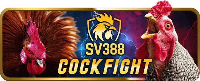 Biểu tượng mạng xã hội của Singbet Trang Chủ